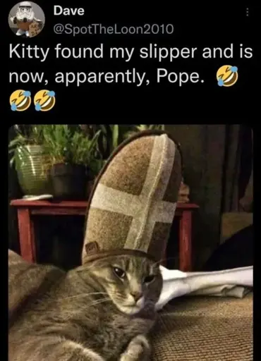 "Kitty found my slipper and is now, apparently, Pope.". Picture of a cat with a slipper on it's head, making it look like the pope